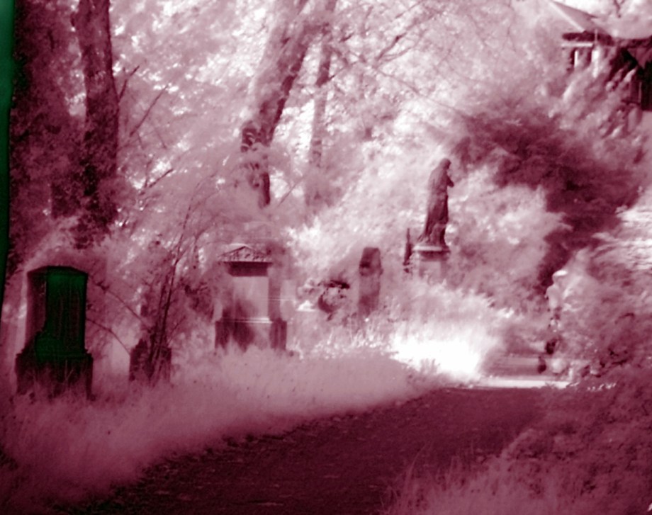 Alter_Friedhof_in_Freiburg