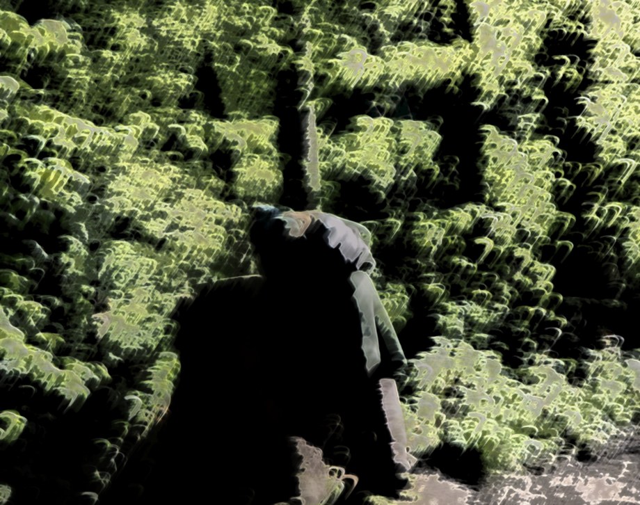 Eine_Entdeckung_im_Wald