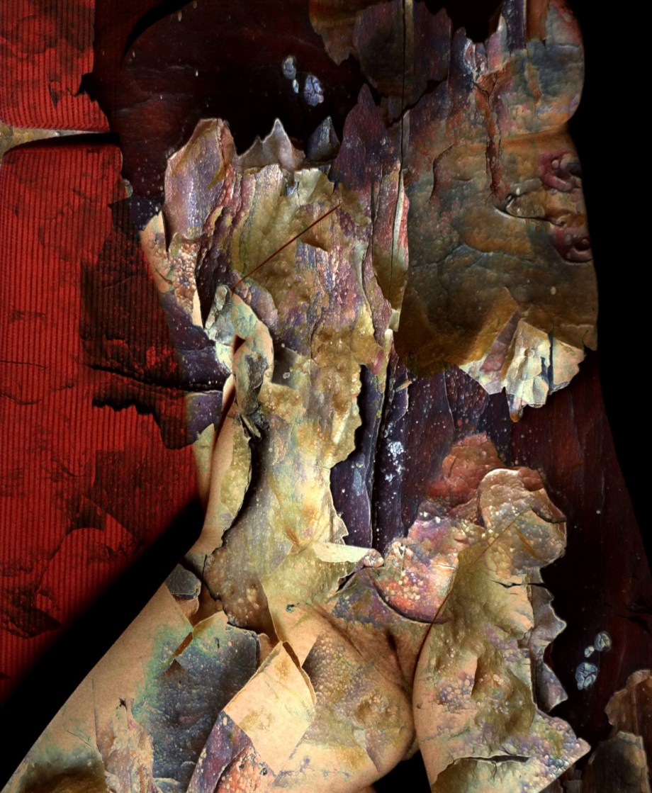 Borkenkäfer-Affäre