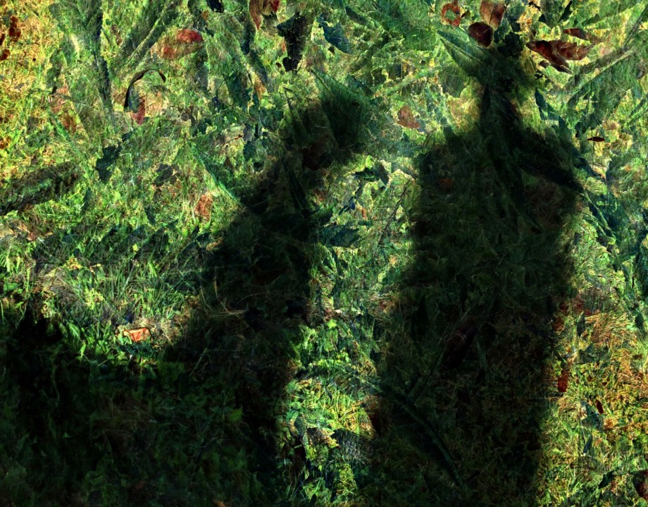 Schattenhafte_Annäherung