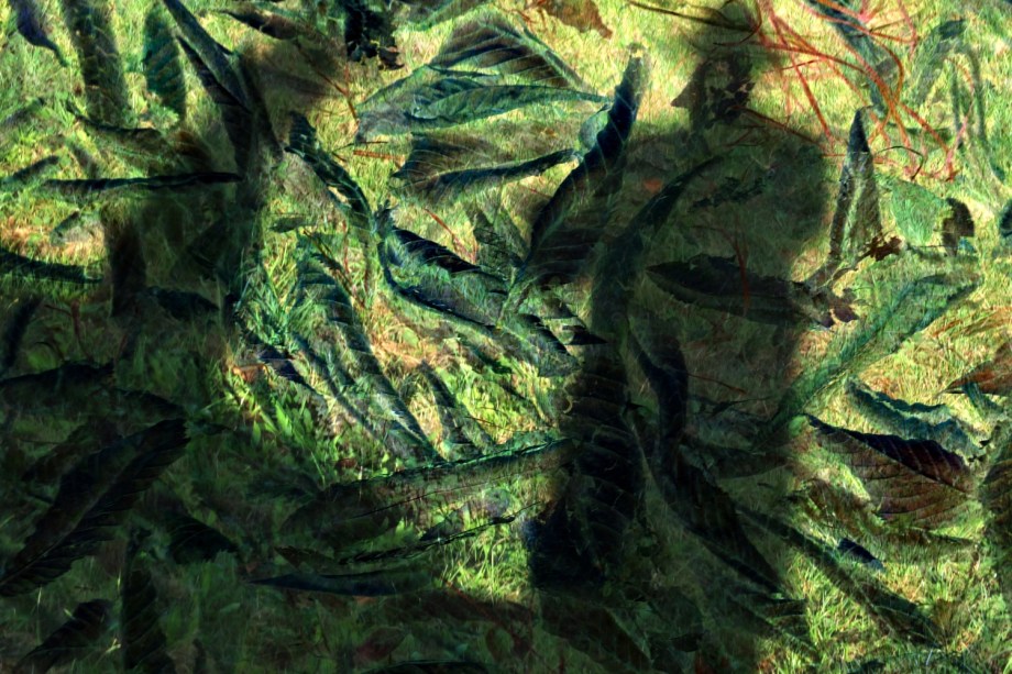 Schattiges_Gespräch