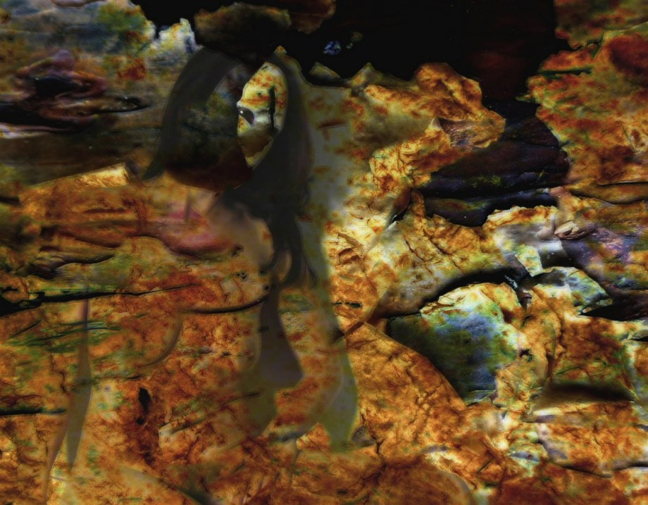 Transformative_Verschmelzung_15