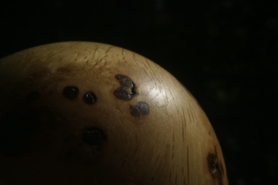 Unentdeckter_Exomond