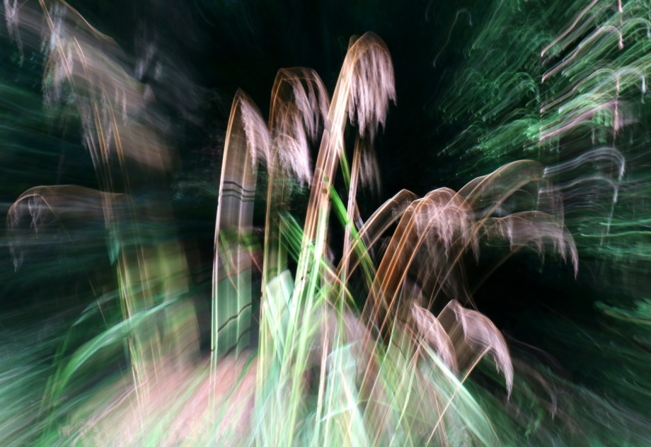 Sing mir_das_Lied_vom_Gras